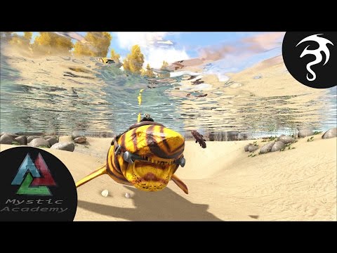 Ark:SE Mystic Academy Ep16 - Tiger Shark fun