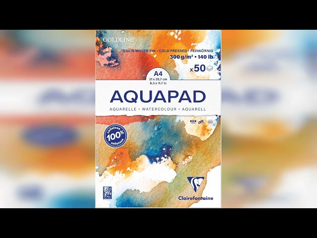 Vídeo relacionado con Clairefontaine Triomphe PLATINUM 37170C Collection - Cuaderno de hojas (21 x 29,7 cm), color azul