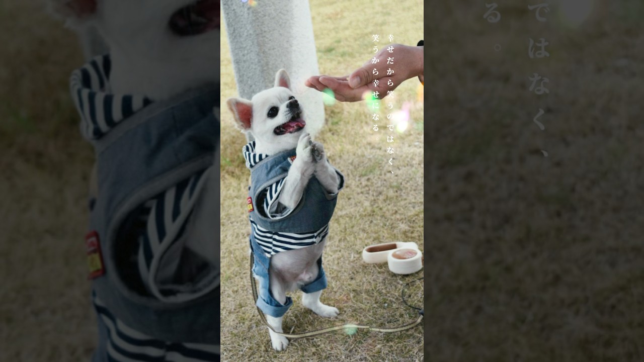 【今日の選択が明日の自分をつくる】人生は小さな選択の積み重ね