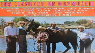 LOS LLANEROS DE GUAMUCHIL LAS ADULACIONES