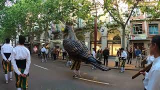 Seguici de Vigila de La Salut Sabadell(08/05/2022)
