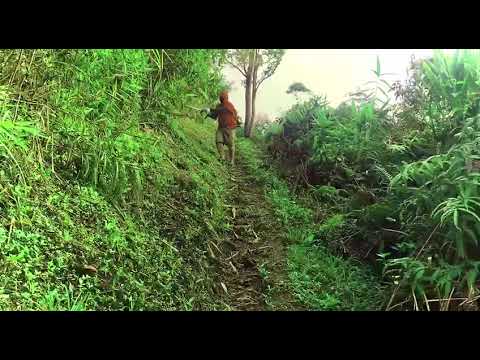 Viral deadpool mesin rumput di lorong jalanan