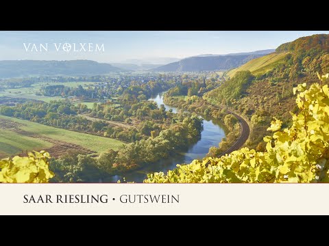 Weingut Van Volxem - Saar Riesling