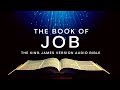 The Book of Job KJV | Audio Bible (FULL) by Max #McLean #KJV #audiobible #job #book