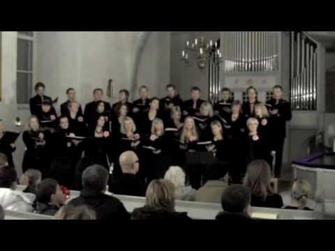 Sõpruskond ja Suisapäisa - Tänav, pink ja puu