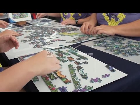Speed jigsaw puzzlers battle it out at World Championships