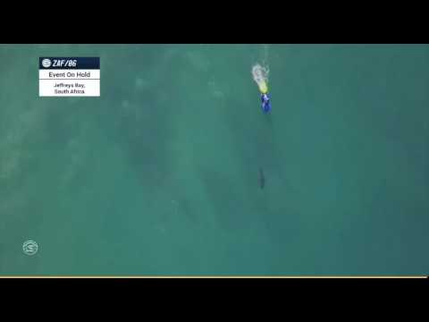 Shark Corona Open J-Bay 2017 Mick Fanning VS Gabriel Medina