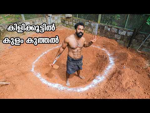 Ep 3 Building A Giant Bird House | ഇനി കുളം കുത്തൽ | M4 Tech |