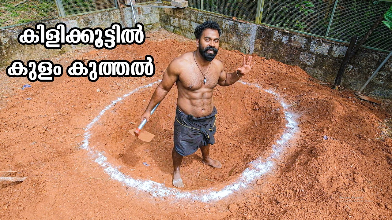 Ep 2 Building A Giant Bird House | ഇനി കുളം കുത്തൽ | M4 Tech |