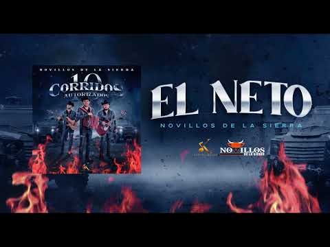 Novillos De La Sierra -  4. El Neto [Audio Oficial]