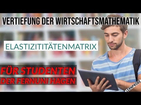 Vertiefung Wirtschaftsmathematik - Elastizitätenmatrix - Fernuni Hagen
