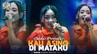 Download lagu Kau Asing Di Mataku - Sabila Permata - New Pallapa (live Petraka 2024) | Season X mp3