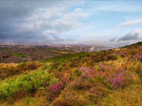 THE ESTON HILLS