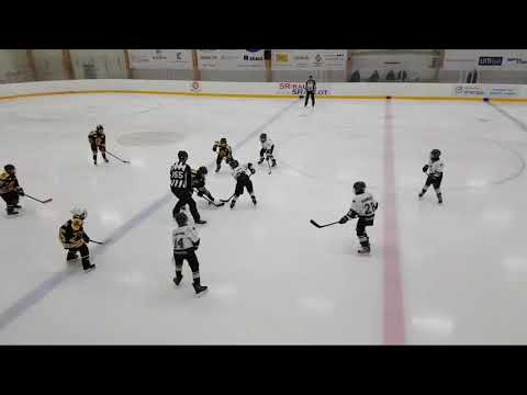 Wolf -  GrIFK-07 White 16.1.2019 Sipoo