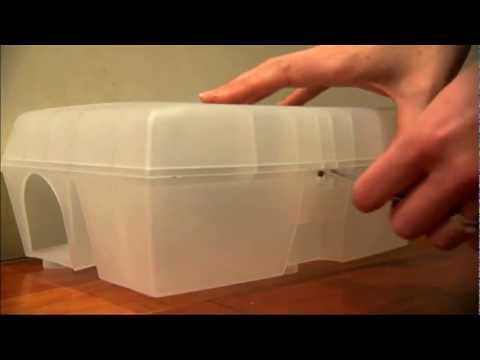 The Big Cheese Child and Pet Safe Bait Stations