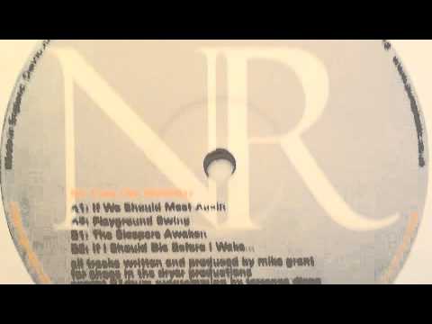 Mike Grant - If I Should Die Before I Wake (Neurhythmics Recordings NR007)