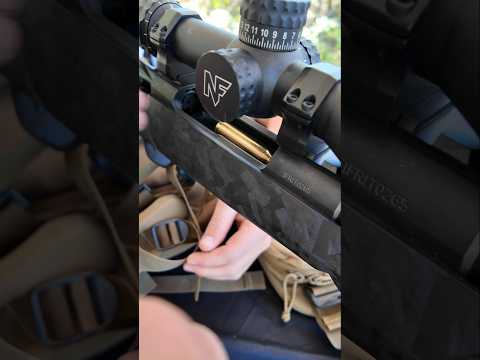 Palm Swell Feels Really Good