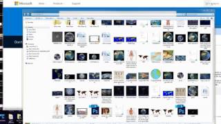 Mandela effect attention Mandela effect victims family’s