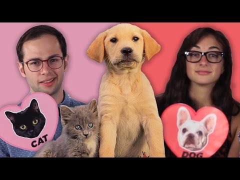 犬の事実対猫の事実 (Dog Facts Vs. Cat Facts)