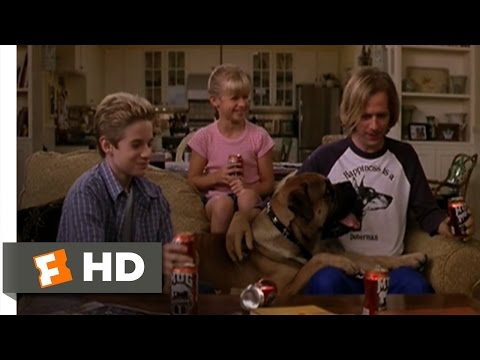 download lagu mp3 mp4 What Rhymes With Waterfall, download lagu What Rhymes With Waterfall gratis, unduh video klip What Rhymes With Waterfall