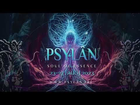 Hardcore Buddhist @ Psylân Festival 2023  (progressive chill out mix)