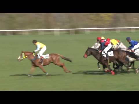 MI, 16. 4. 2017, 6. dostih - Cena Libereckého kraje