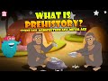 The Stone Age Man Life Millions Of Years Ago The Dr Binocs Show Peekaboo Kidz