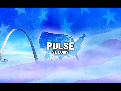 FULL MEASURE: March 19, 2017 - St Louis Pulse