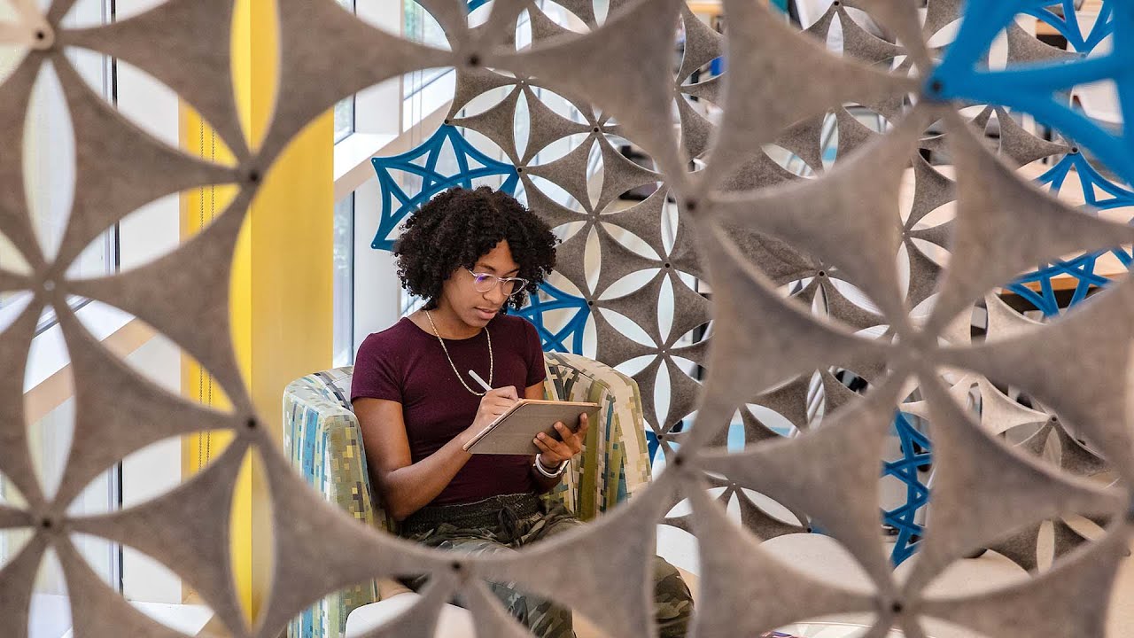 Essay Writing Workshop with Carolina