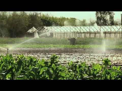 El tiempo encontrado  Trailer