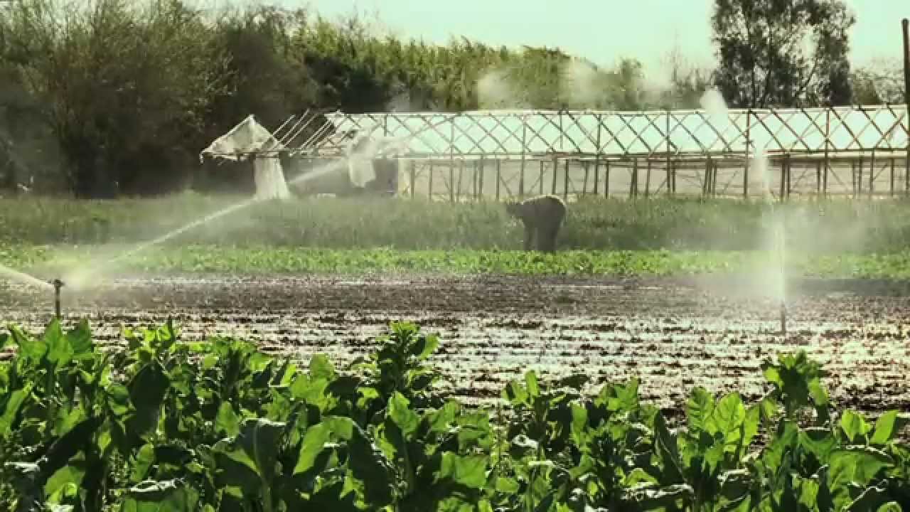 El tiempo encontrado  Trailer