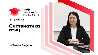 Систематика птиц