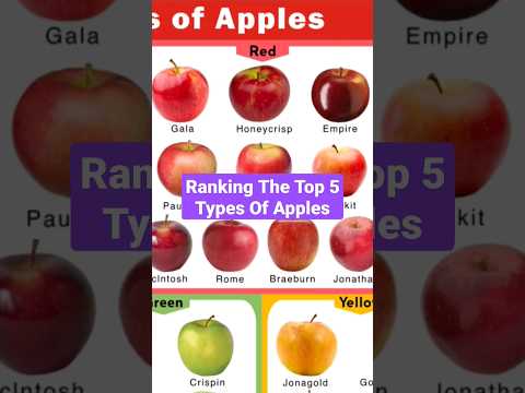 Ranking The Top 5 Types Of Apples #shorts #apples