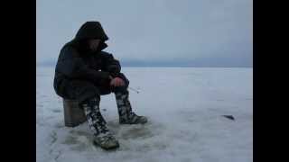 Форум про рыбалку на рыбинском водохранилище