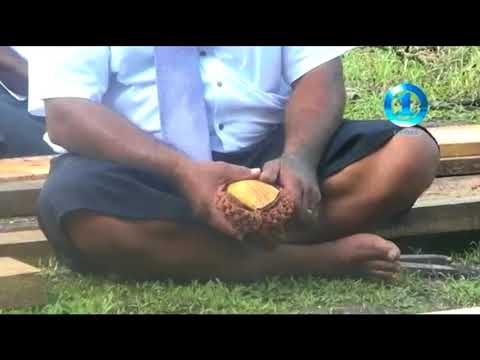 'Kurabui Productions' FJ1 News Snippets 2 - 140314 to 250314