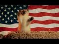 PAW And ORDER Official Trailer HD