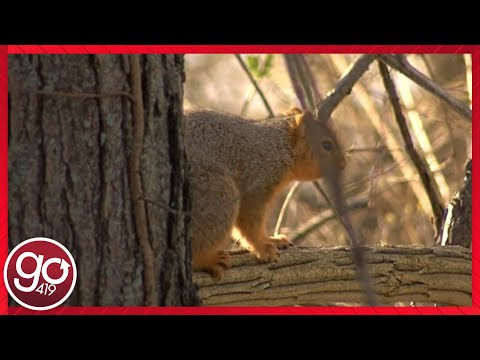 Charles E. Humes Jr. appointed as Chief of Police in Waterville | wtol.com