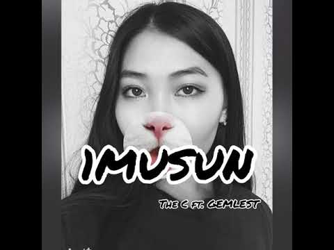 The C ft. Gemlest (official video)