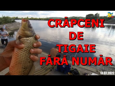 RECOLTAREA CRAPCENILOR DE SUB BARAJUL IONESTI -VALCEA - PE RAUL OLT