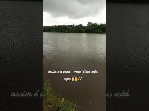 #naturezaperfeita #vidanaroça , um pedaço do paraíso logo alí, vitória do Mearim MA