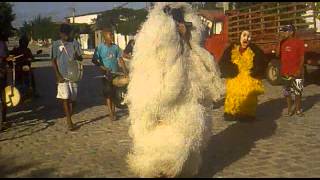 Carnaval Em Mossoró (Os Ursos)