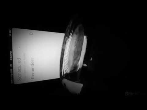 Xerxes and Phoenix - Scarecrow