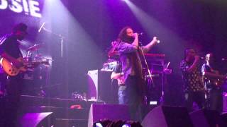 "Alborosie - Rolling Like a Rock + Real story  " Groove 25/05/15