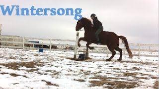 Wintersong - Sarah McLachlan