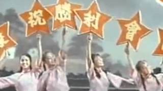 Momus: International