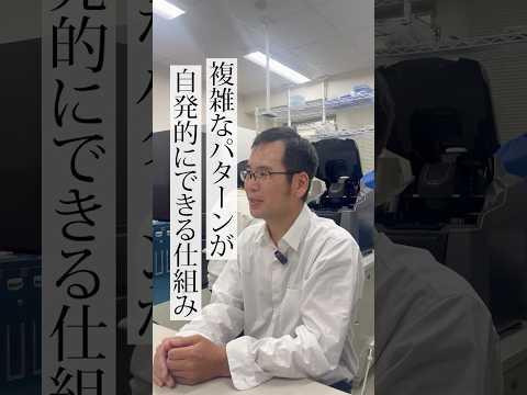 【関学・理学部】生命のしくみを数理的に解き明かす！｜昌子 浩登 研究室  #関西学院大学 #受験生 #理学部 #数理科学 #研究室紹介 #理系 #生体パターン #数理モデリング