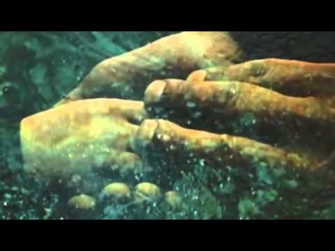 The Angels of Light ~ Song For My Father