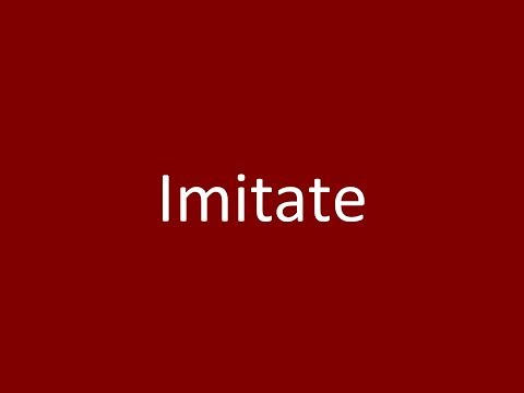 Imitate Video