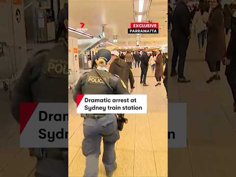 Man holding meat cleaver tackled and arrested at Parramatta Station, Sydney