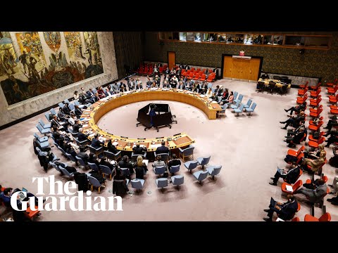 Video — The Guardian